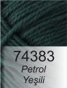 Petrol Yeşili