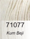Kum Beji