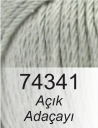 Açık Adaçayı