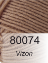 Vizon
