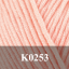 K0253